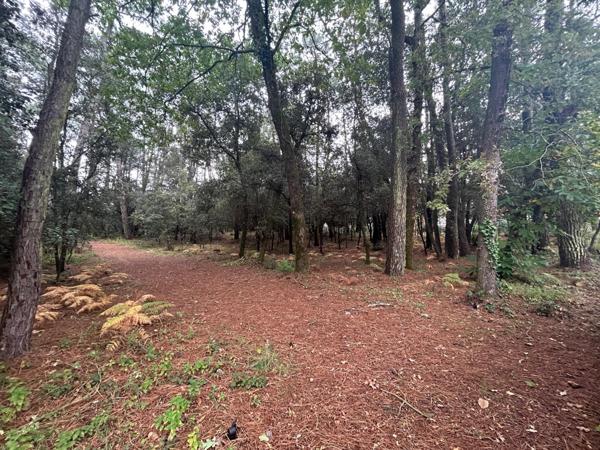 Opportunité rare sur le secteur