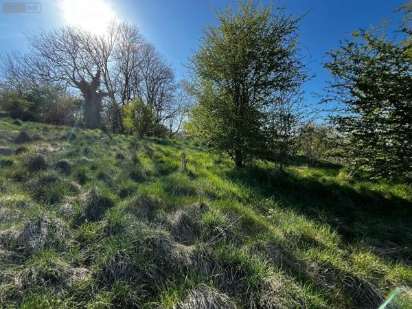 Achat - Terrain à bâtir Langres 52200 11235 m 2 11235 m 2