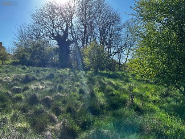 Achat - Terrain à bâtir Langres 52200 11235 m 2 11235 m 2
