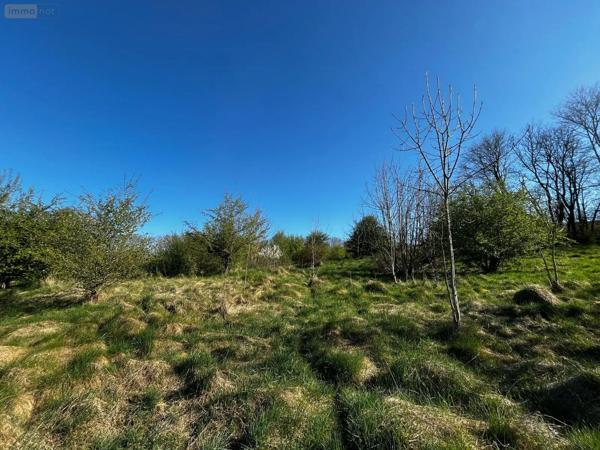 Achat - Terrain à bâtir Langres 52200 11235 m 2 11235 m 2