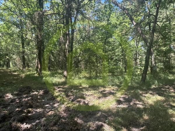 Propriété à LA FERTE SAINT AUBIN (45240)