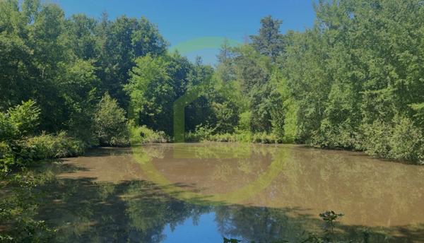 Propriété à LA FERTE SAINT AUBIN (45240)