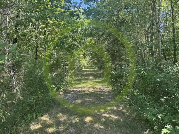 Propriété à LA FERTE SAINT AUBIN (45240)