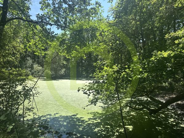 Propriété à LA FERTE SAINT AUBIN (45240)