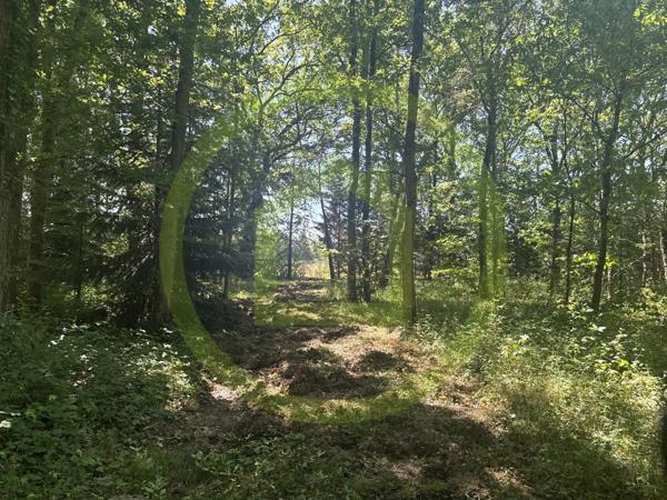 Propriété à LA FERTE SAINT AUBIN (45240)