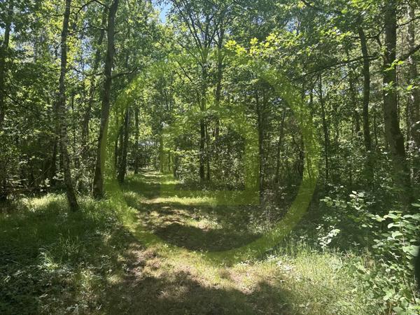 Propriété à LA FERTE SAINT AUBIN (45240)