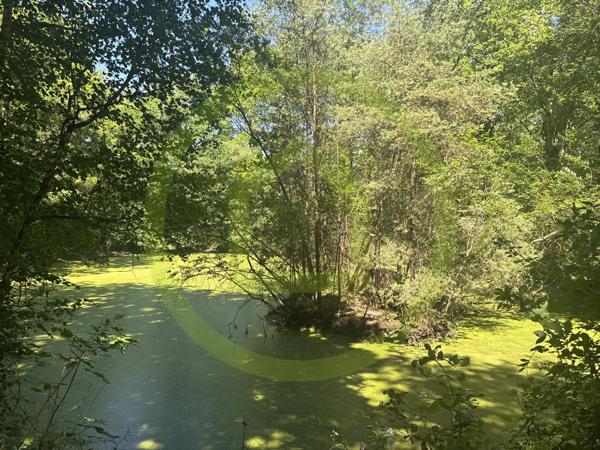 Propriété à LA FERTE SAINT AUBIN (45240)