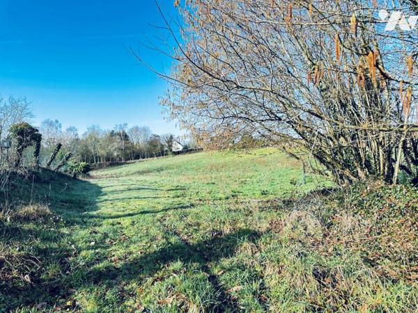 TERRAIN CONSTRUCTIBLE AU BOURG DE MESLAN