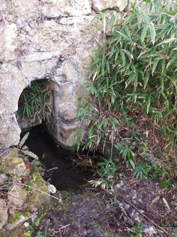 Pour les amoureux de la nature!