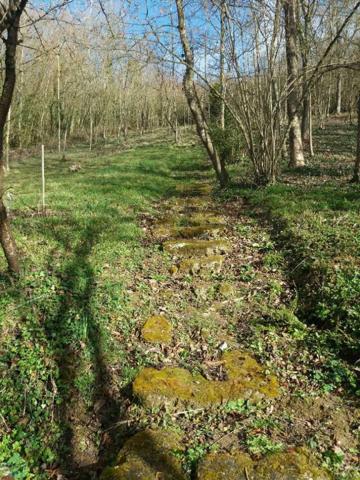 Pour les amoureux de la nature!