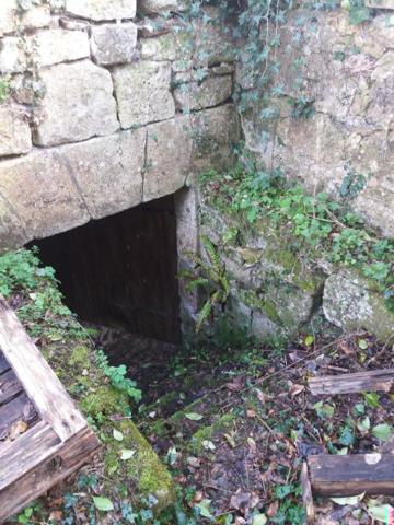 Pour les amoureux de la nature!