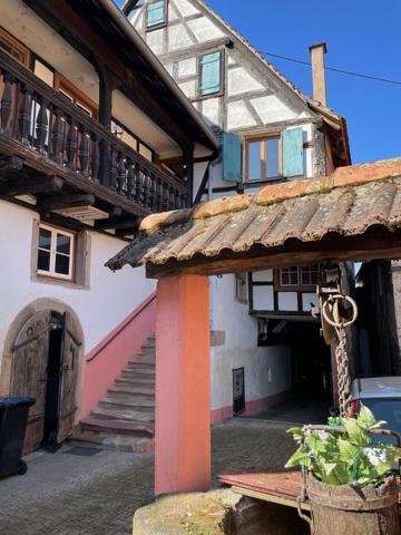 Ensemble immobilier 274 m² à Boersch sur 8,80 ares