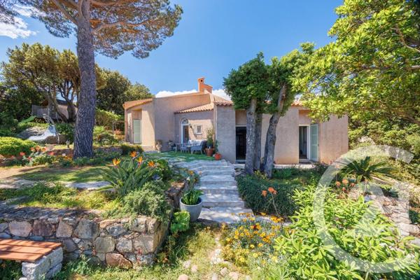 Maison à vendre  5 pièces - 162 m 2   ZONZA  - 201