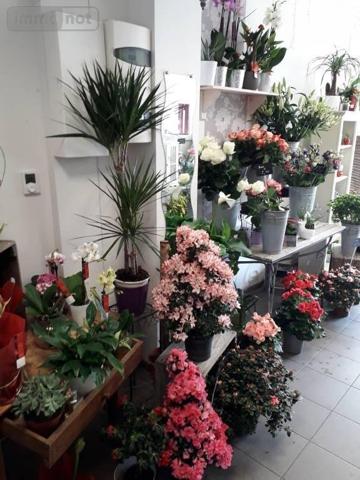 Fonds et/ou murs commerciaux à vendre à Lessay dans la Manche (50430), ref : 50061-348261