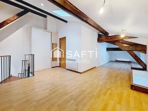 Joli appartement avec plein de charme avec sa charpente apparente