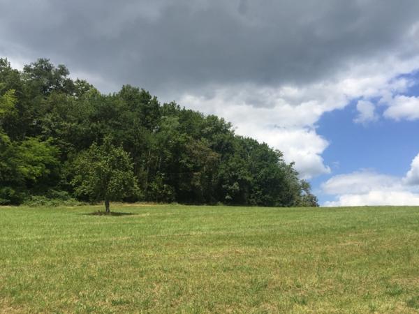 Lasseube (64290) Parcelle de terrain à bâtir, sur la commune de LASSEUBE.