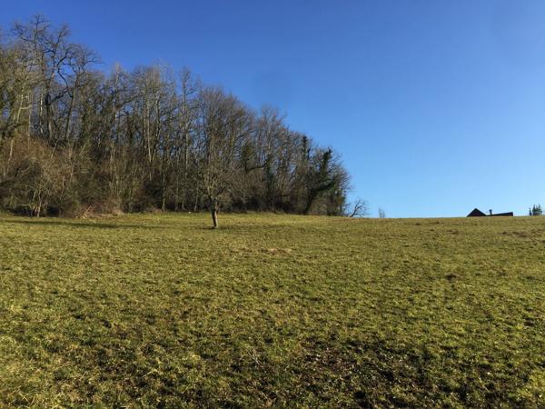 Lasseube (64290) Parcelle de terrain à bâtir, sur la commune de LASSEUBE.