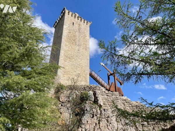 Propriété d’Exception au Pied de la Tour d’Apcher – Lozère (48200)