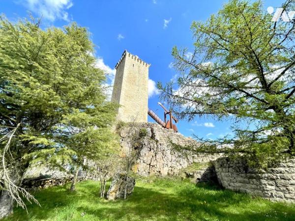 Propriété d’Exception au Pied de la Tour d’Apcher – Lozère (48200)
