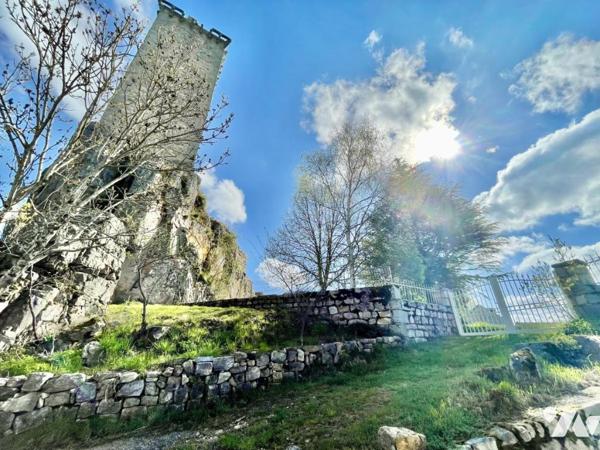 Propriété d’Exception au Pied de la Tour d’Apcher – Lozère (48200)