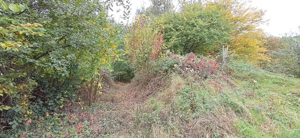 Terrain dans Bazeilles
