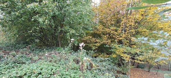 Terrain dans Bazeilles