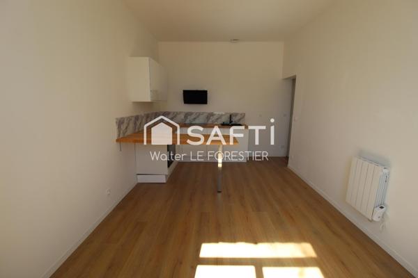 CHATEAU AVEC PLUSIEURS APPARTEMENTS REFAIT A NEUF DE 119 000 à 199 000 euros APPARTEMENT T3 NEUF AVEC JARDIN ET PLACE DE PARKING