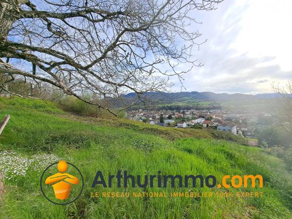 Vente Terrain 4990 m2 à Saint-Girons
