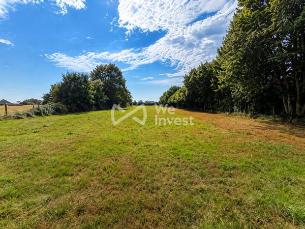 Terrain avec 700 m² constructibles et plus d’1 hectare de pâture – Idéal chevaux
