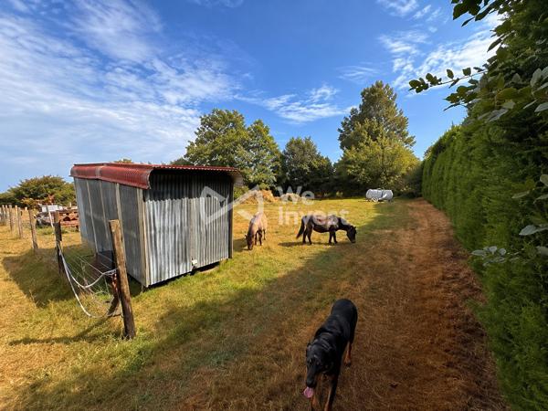 Terrain avec 700 m² constructibles et plus d’1 hectare de pâture – Idéal chevaux