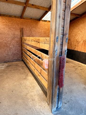 Terrain avec 700 m² constructibles et plus d’1 hectare de pâture – Idéal chevaux