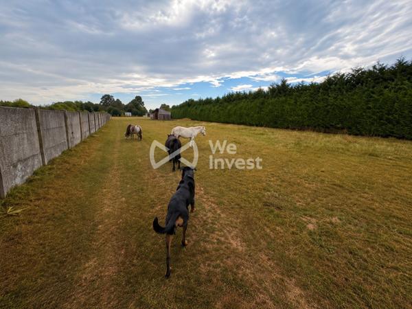Terrain avec 700 m² constructibles et plus d’1 hectare de pâture – Idéal chevaux