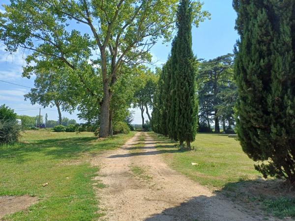 MURS et FDC à vendre proche de ALBI (81) HOTEL BUREAU