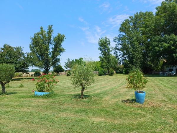 MURS et FDC à vendre proche de ALBI (81) HOTEL BUREAU