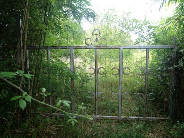 Terrain Cuffy + de 2 hectares, sous-bois, puits, 10' NEVERS, campagne, clos