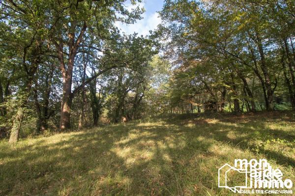 Vaste maison de charme sur parc de 1,1 hectares