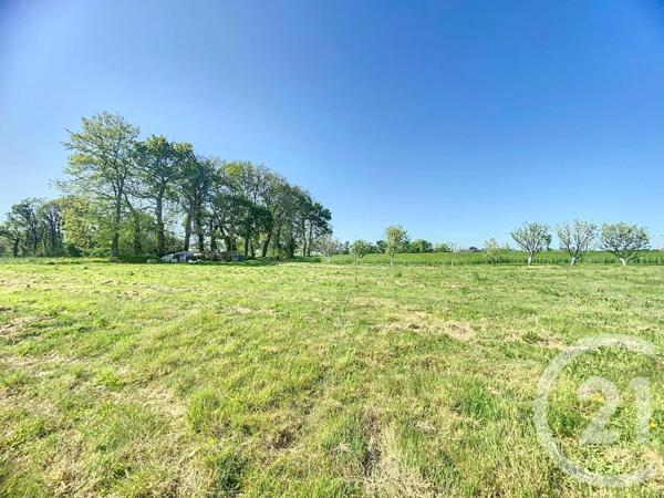 Terrain à vendre  753 m 2   PLELO  - 22