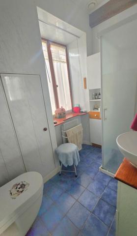 Ensemble de 3 maisons- Jardin et dépendances