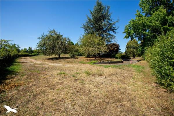 Maison à vendre |  Bazas |  6 pièces | 170 m²