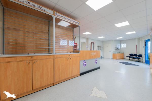 Immeuble à vendre 296 520 € Saint-Priest-de-Gimel 250 m² DPE