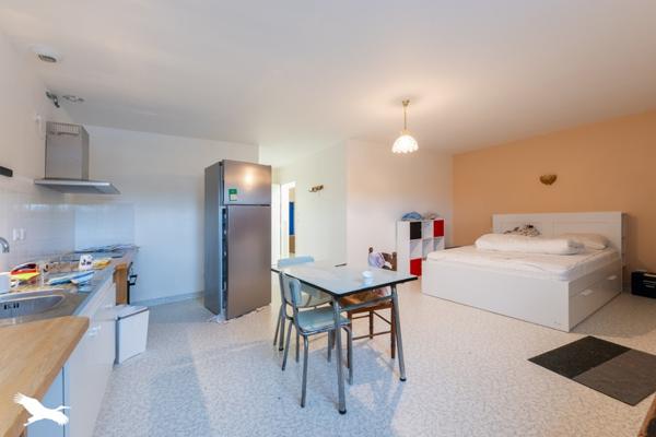 Immeuble à vendre 296 520 € Saint-Priest-de-Gimel 250 m² DPE