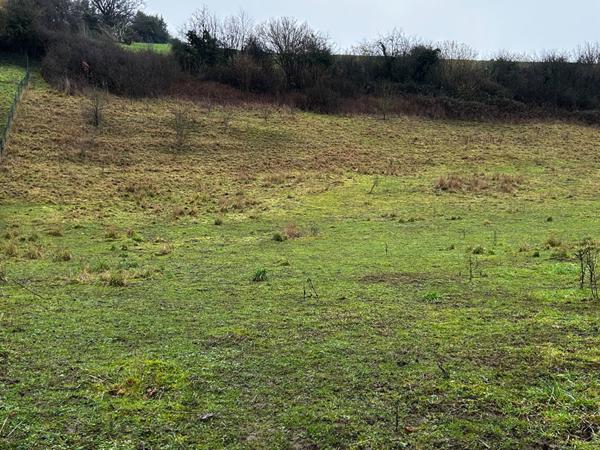 Terrain Thiembronne 1147 m2