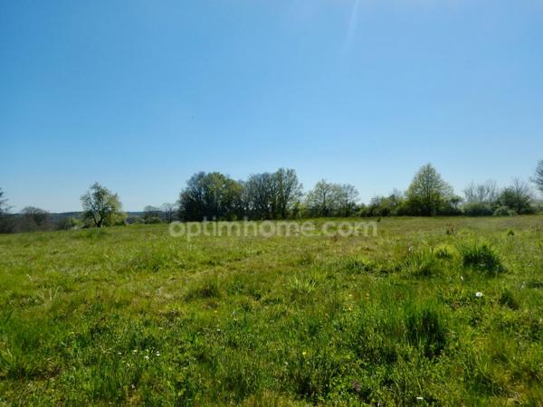 Terrain à vendre de 5 014 m² BASSILLAC ET AUBEROCHE (24)
