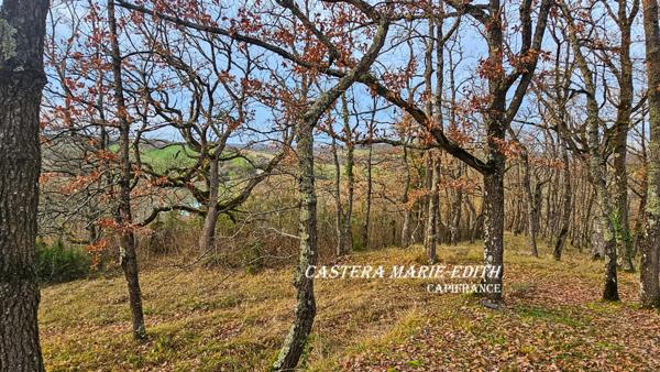 Maison d’architecte rénovée 280 M² - Sans vis à vis, calme, au fond d'une impasse - 9 Pièces -Garage - Vue panoramique – Auch (Gers)