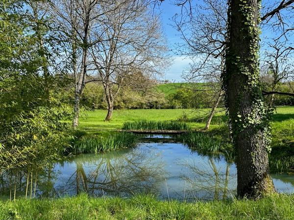 Dpt Gers (32), à vendre MONTREAL maison gasconne de 222m2 avec gîte et piscine - 1,5 hectare