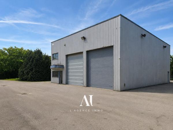 Local professionnel fort potentiel Valserhône 01200