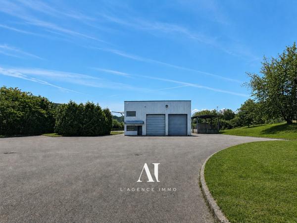 Local professionnel fort potentiel Valserhône 01200