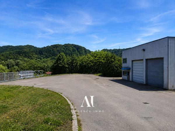 Local professionnel fort potentiel Valserhône 01200
