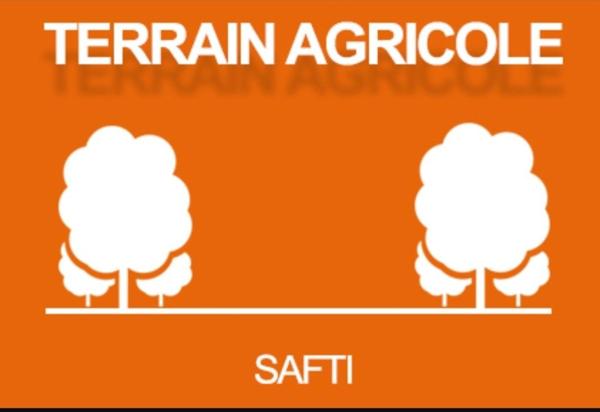 4 terrains Agricole d'une superficie de 2495m2.