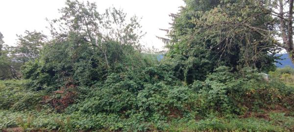 Terrain à vendre 362m² - ALLINGES (74200)